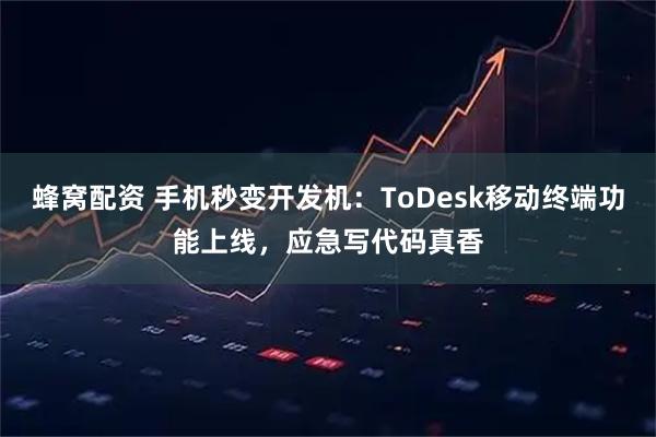 蜂窝配资 手机秒变开发机：ToDesk移动终端功能上线，应急写代码真香